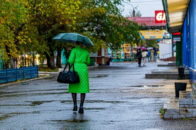 Настоящая осень вступила в права | Источник: Олег Фёдоров / CHITA.RU