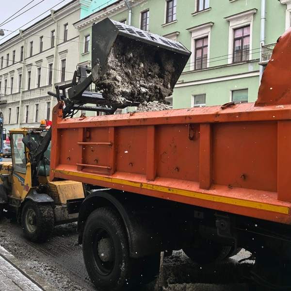 Источник: Комитет по благоустройству Санкт-Петербурга