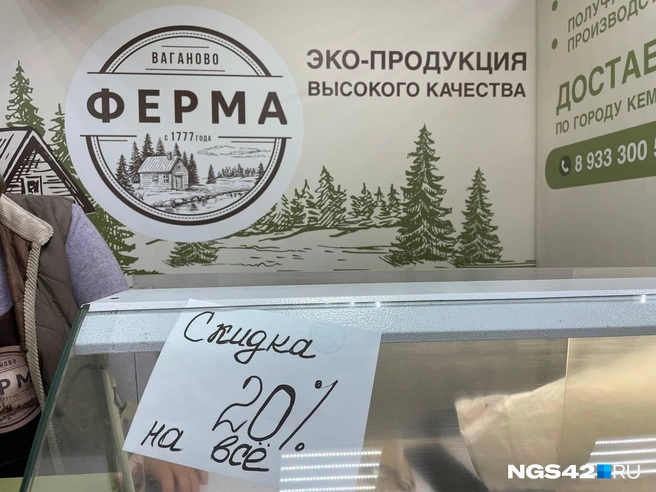 Источник: Лера Городецкая / NGS42.RU