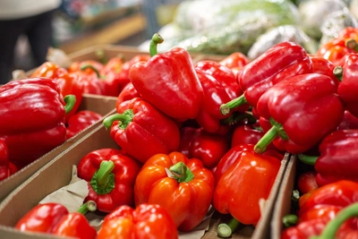 Когда и как сеять перец — рекомендации агронома