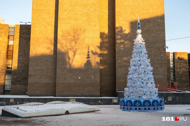 Источник: Евгений Вдовин / 161.RU