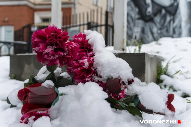 Источник: Дмитрий Волгин / Voronezh1.ru