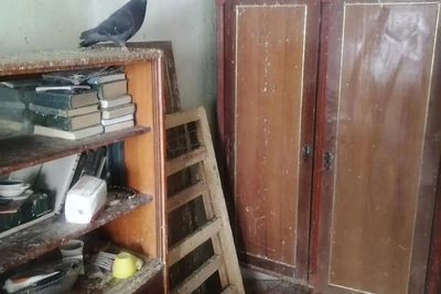 Иркутянка убрала голубятню из квартиры после визита приставов