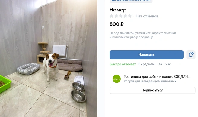 Довольная моська — главное условие | Источник: Гостиница для собак и кошек ЗООДАЧА. Челябинск / Vk.com