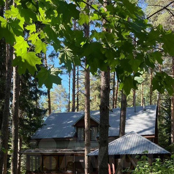 Домики скрыты среди деревьев | Источник: Avito.ru