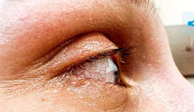 Стоимость килограмма лососевой икры в России выросла на 41% | Источник: nk-tv.com