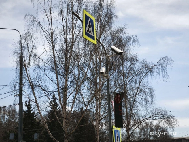 Источник: www.city-n.ru