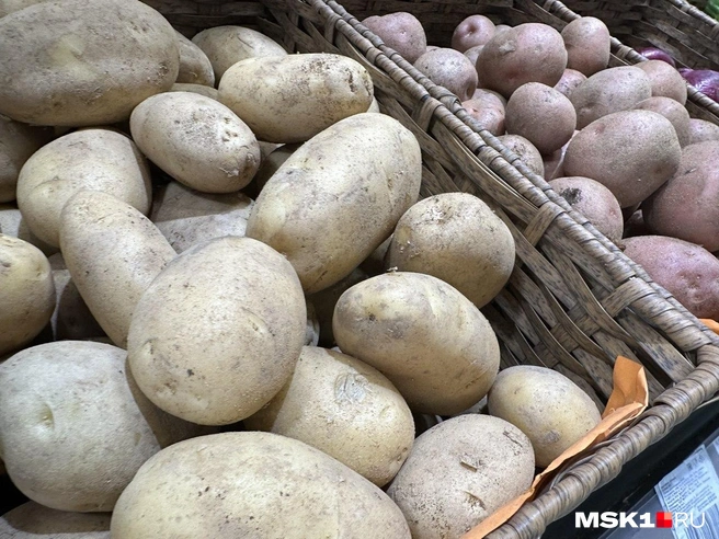 Картофель в России рекордно подорожал | Источник: Андрей Кузнецов / MSK1.RU