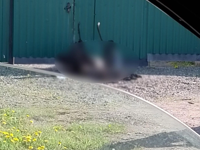 В пятницу, 15 мая, утром жители обнаружили сожженного Виталия с обгоревшей коляской | Источник: читатель 45.RU 
