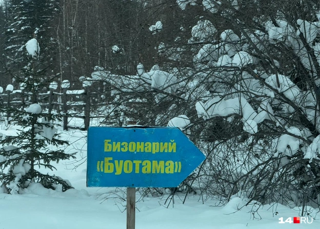 Не потеряться помогают указатели | Источник: Ольга Донская / 14.RU