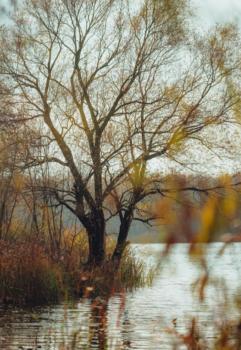 Источник: Александр Воднев
