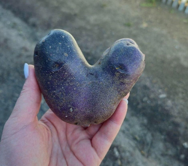 Любви вам, друзья | Источник: читатель 72.RU