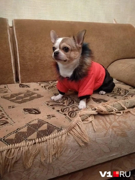 Время утепляться! | Источник: читатели V1.RU