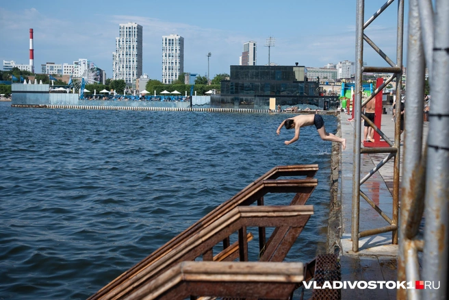 Источник: Елена Буйвол / VLADIVOSTOK1.RU