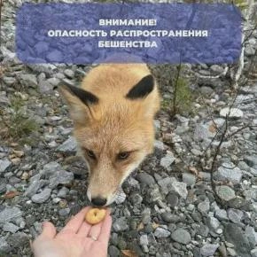 Источник: nk-tv.com