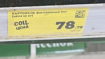 Цена за картофель «Магните» | Источник: Дарья Никитченко / 45.RU