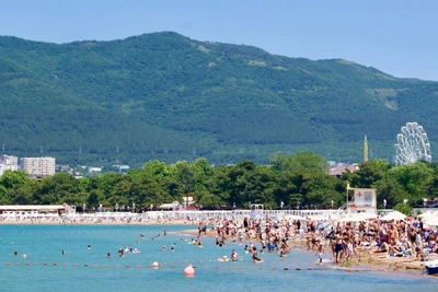 Tourists Share Honest Gelendzhik Reviews: Dirty Sea, High Costs