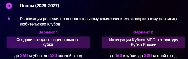 Планы РФС по развитию любительского спорта | Источник: РФС