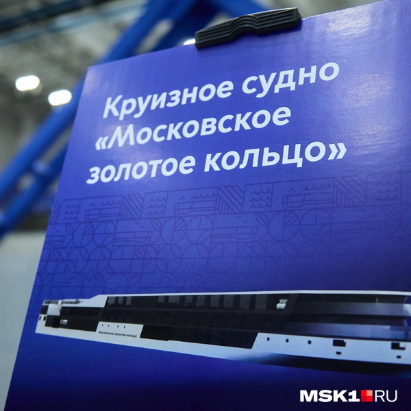 Источник: Дмитрий Толстошеев / MSK1.RU