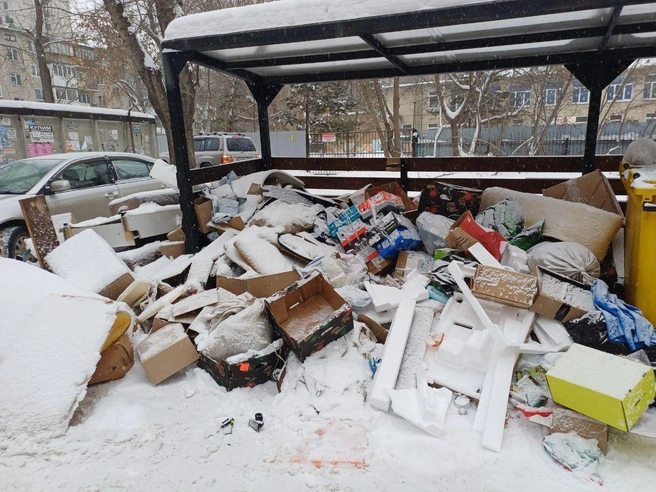 Жители дома на Елькина, 92б опасаются, что скопившийся мусор не уберут в течение праздников. | Источник: читатель 74.RU