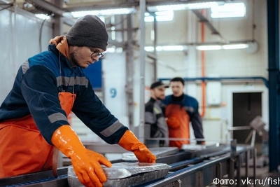 Более 350 студентов прошли практику на Камчатке