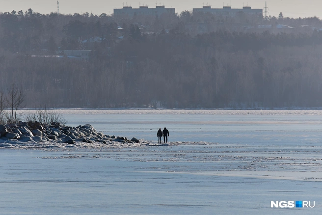 Некоторые осторожно гуляли у берега | Источник: Александр Ощепков / NGS.RU