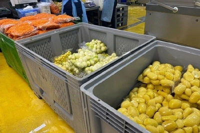 Фабрику мытых овощей построят в Забайкалье к 2026 году