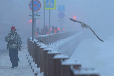 В Петербурге ожидается самая холодная ночь этой зимы