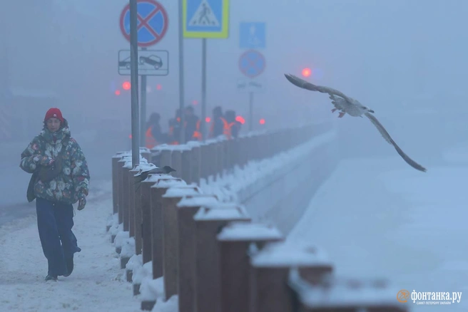 На бреющем полете были не только птицы. Иногда передвигаться по городу было действительно тяжело