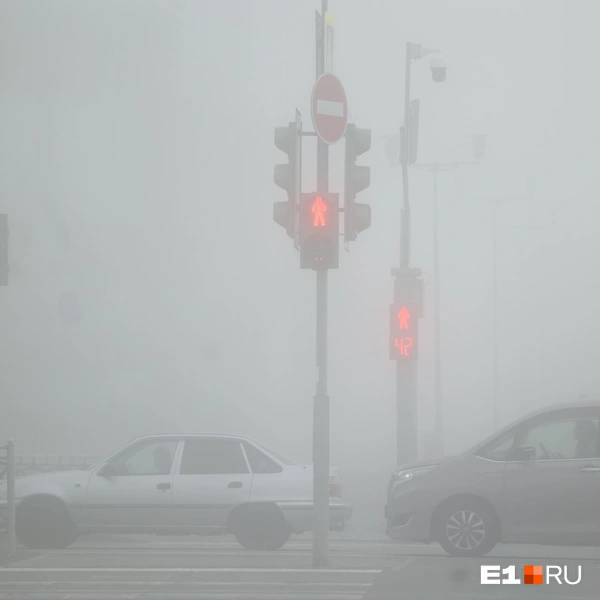 Источник: Владислав Лоншаков / E1.RU