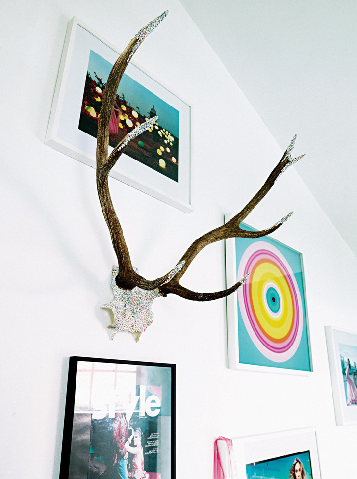 На стене в гостиной среди постеров и фотографий висят оленьи рога со стразами Swarovski.