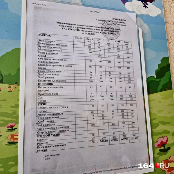 Источник: Виктория Федорова / 164.RU