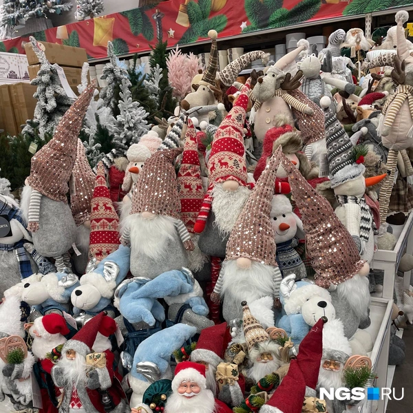 Придумайте определение существам сами (но это точно не Дед Мороз, согласны?) | Источник: Алёна Золотухина / NGS.RU