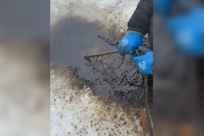 В затоне Грязи не обнаружили загрязнения