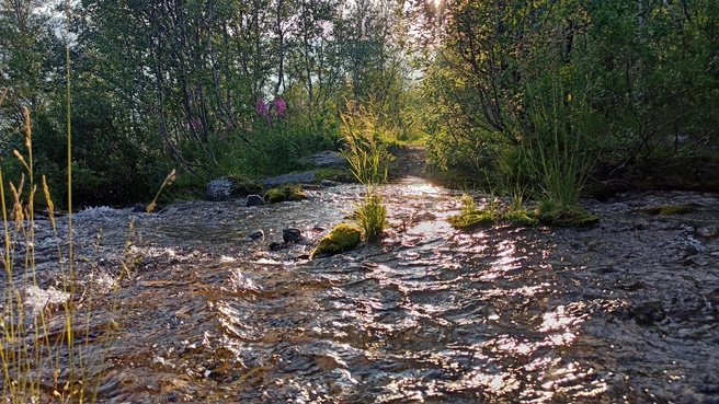 Источник: архив Эльвиры Айнетдиновой