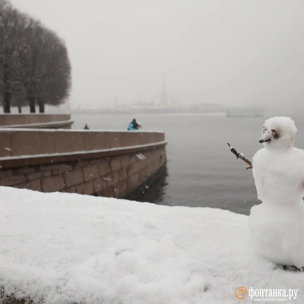 Источник: Сергей Михайличенко / «Фонтанка.ру»