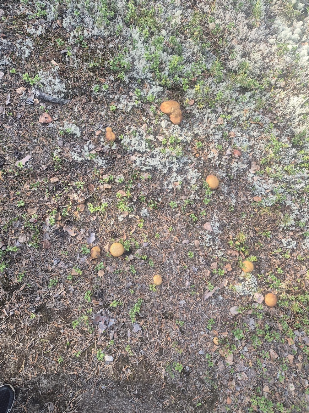 Источник: Дарья Журавлева / личный архив