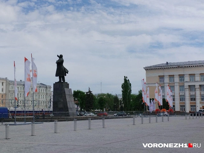 Источник: Дмитрий Волгин / Voronezh1.ru