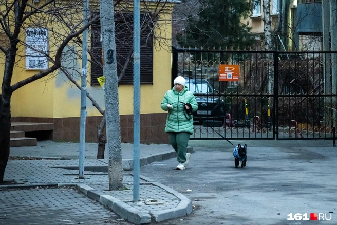 У собачников свое расписание | Источник: Евгений Вдовин / 161.RU