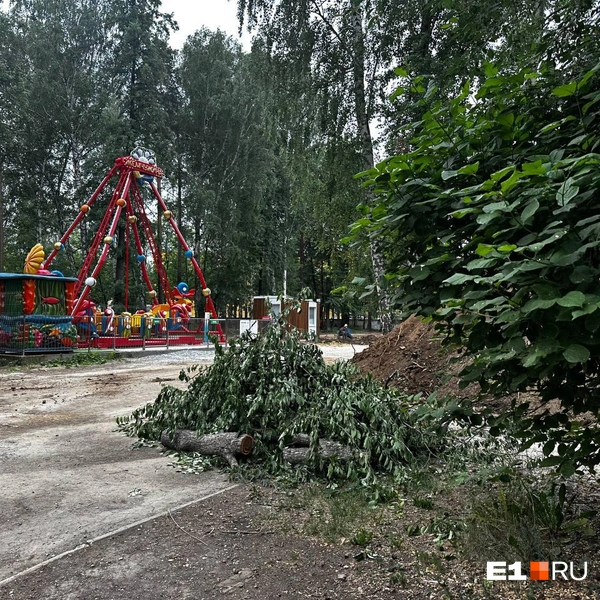 Здесь появятся новые аттракционы | Источник: Анастасия Цыбульская / E1.RU