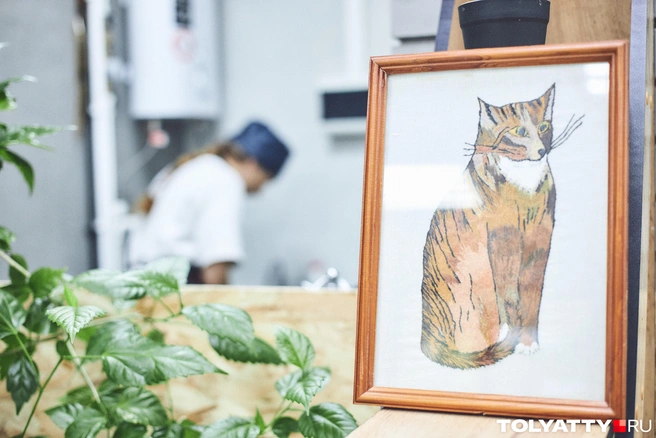 Котика нарисовала и подарила центру одна из гостей | Источник: Роман Данилкин / 63.RU