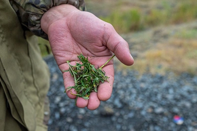Полицейские избили жителя Кузбасса для сбора наркотиков
