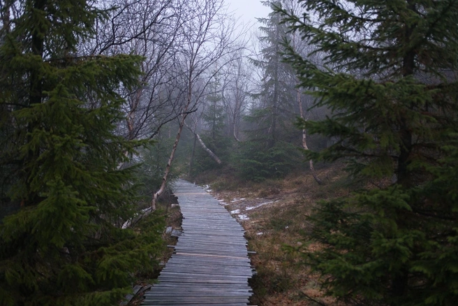 Район Рогозера | Источник: Андрей Хворов