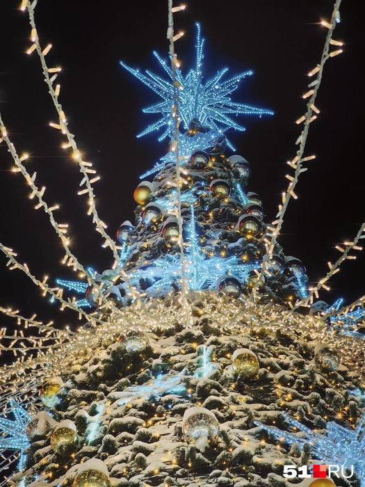 Источник: Юлия Кузнецова / 51.RU