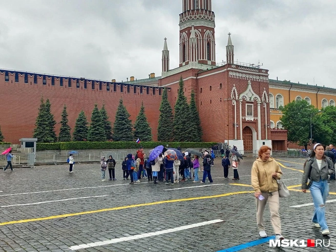 Источник: Полина Громова / MSK1.RU