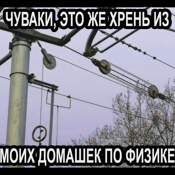 Источник: соцсеть