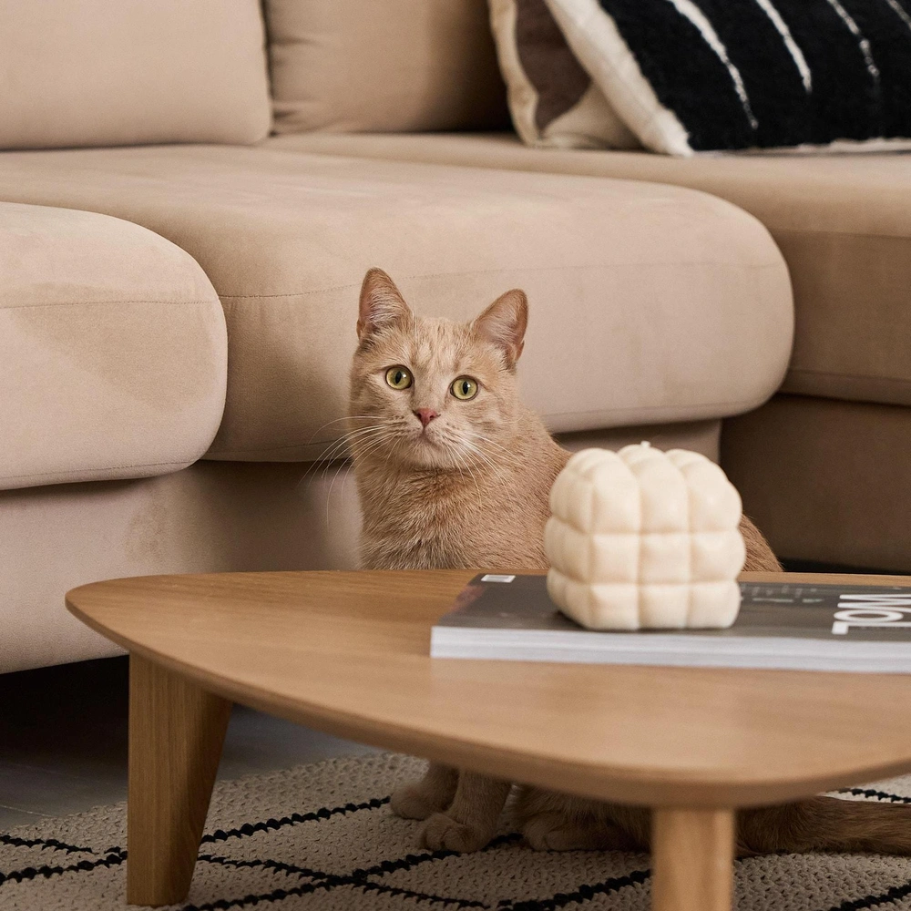 Квартира в Москве. Проект Анастасии Громовой. | mcmaison.ru