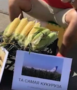 Саратовец продает «целебную кукурузу» с поля, на которое чудесным образом сел пассажирский самолет (видео)