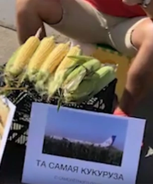 Саратовец продает «целебную кукурузу» с поля, на которое чудесным образом сел пассажирский самолет (видео)