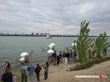 Источник: Алёна Воропаева / Voronezh1.ru